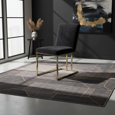 Chaise noire en acier inoxydable Chaise métallique Chaise de salle à manger Chaises design avec rembourrage