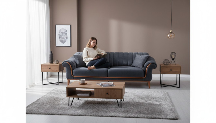 Canapé moderne trois places élégant et gris pour salon avec revêtement neuf