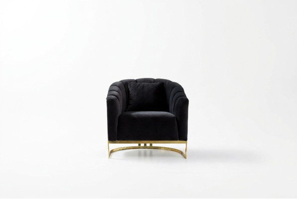 Fauteuil exclusif de luxe éléments noirs en acier inoxydable Meubles de Club Longe