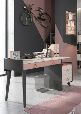 Bureau de secrétariat Design Mobilier d'écriture luxueux Bureaux en bois