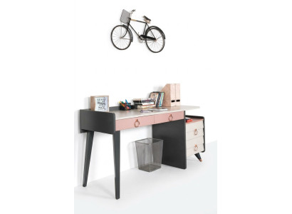 Bureau de secrétariat Design Mobilier d'écriture luxueux Bureaux en bois