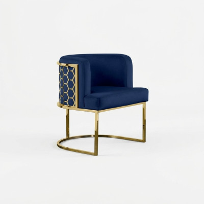 Chaise moderne Salle à manger Fauteuils de club Chaise rembourrée Fauteuil bleu.new Salon