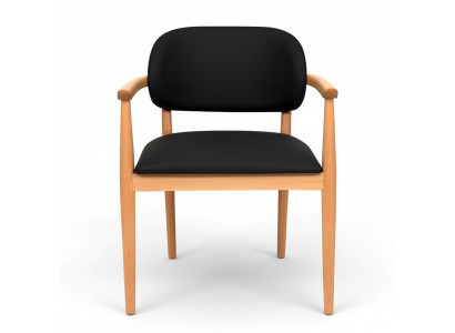 Fauteuil noir designer chaise de salle à manger de luxe siège unique en bois