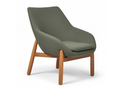 Chaise de salle à manger verte Chaises de salon Chaise design monoplace pieds en bois