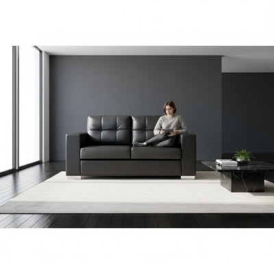 Salon noir 2 places Canapé de relaxation de luxe en cuir au design moderne