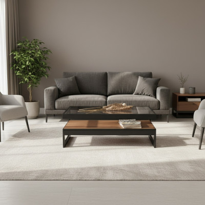 Table basse en bois design   Table basse en verre pour le salon   Table d'appoint pour le salon