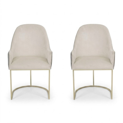 Chaise rembourrée 2x Chaises Chaise de salle à manger Chaise de cuisine de haute qualité Multicolore Moderne