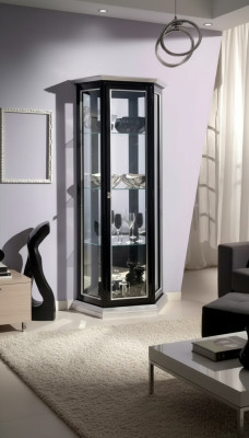 Vitrine classique Armoire d'exposition Vitrine Vitrines Verre neuf
