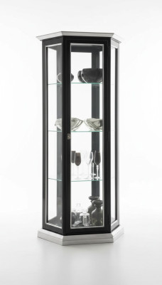 Vitrine classique Armoire d'exposition Vitrine Vitrines Verre neuf