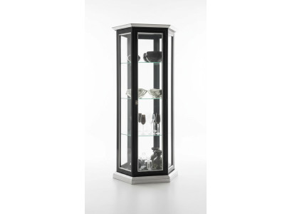 Vitrine classique Armoire d'exposition Vitrine Vitrines Verre neuf