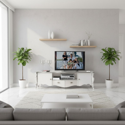 Meuble TV Armoire TV Buffet bas Blanc classique Bois Moderne Salon nouveau