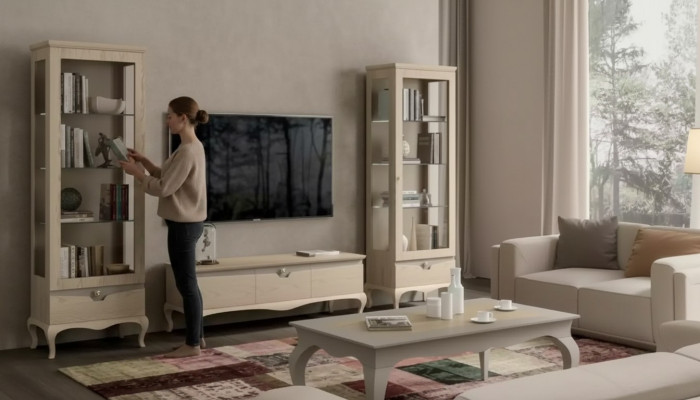 Salon Armoire TV Vitrine Unité murale Armoires Design Set de vitrines Art déco