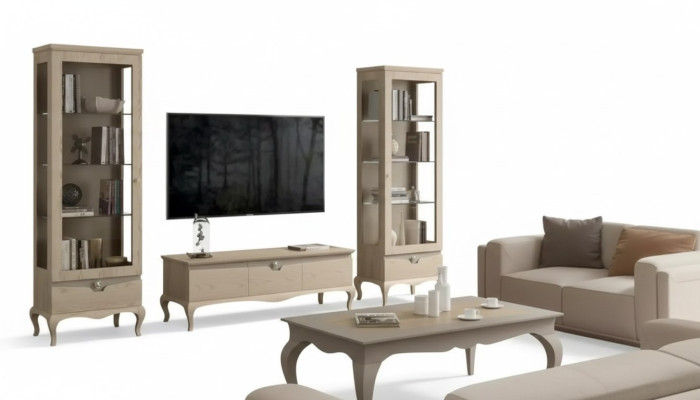 Salon Armoire TV Vitrine Unité murale Armoires Design Set de vitrines Art déco