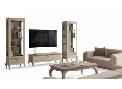 Salon Armoire TV Vitrine Unité murale Armoires Design Set de vitrines Art déco