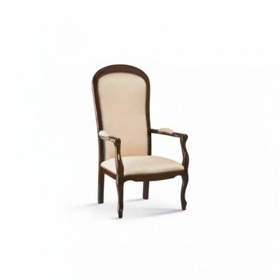 Salon Fauteuil 1 Place Canapé Rembourrage Luxe Tissu Design Bois Meubles