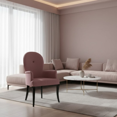 Chaise avec accoudoirs Fauteuil Rembourrage en bois massif tissu Fauteuil en bois neuf