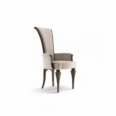Salle à manger Mobilier Chaise en bois Fauteuil en bois Tissu classique neuf