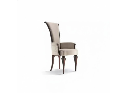 Salle à manger Mobilier Chaise en bois Fauteuil en bois Tissu classique neuf