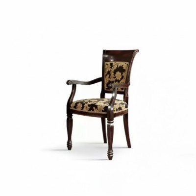 Chaise Braun Design Salon Salle à manger Bois Rembourrage avec accoudoirs nouveau