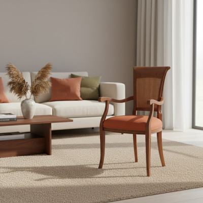 Textile Mobilier de luxe Chaise de salle à manger Chaise avec accoudoir Conception de salle à manger