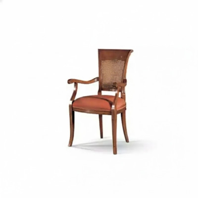 Textile Mobilier de luxe Chaise de salle à manger Chaise avec accoudoir Conception de salle à manger