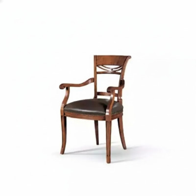 Chaise classique Fauteuil en bois Chaise de salle à manger Meubles en bois de luxe neufs