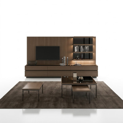 Meubles en bois Salon de luxe Unité murale Design moderne Ameublement neuf