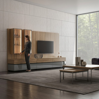 Ensemble mural complet de luxe en brun, ensemble de meubles design, pièces d'ameublement, meuble TV bas moderne
