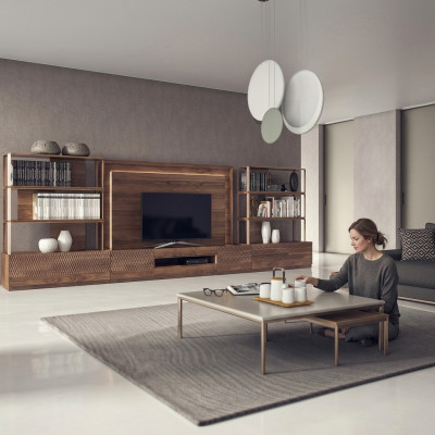 Ensemble de meubles de salon comprenant 4 pièces, buffet TV bas, 2 étagères, meubles en bois, cadre TV complet