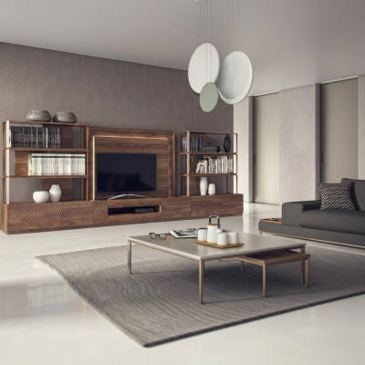 Ensemble de meubles de salon comprenant 4 pièces, buffet TV bas, 2 étagères, meubles en bois, cadre TV complet