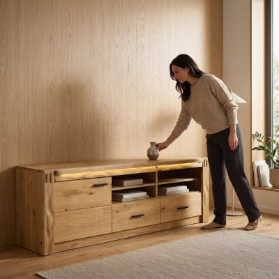 Meuble de télévision, commode de télévision, armoire, buffet, meuble bas, unité murale, meubles