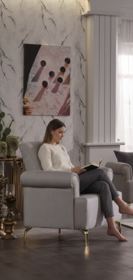 Fauteuil chaise rembourrée accoudoirs rembourrés fauteuil salon lounge du salon