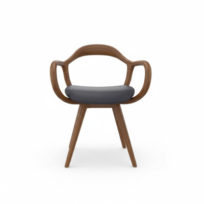 Chaises Salle à manger Salle à manger Fauteuil Chaise en bois avec accoudoir Mobilier de salle à manger
