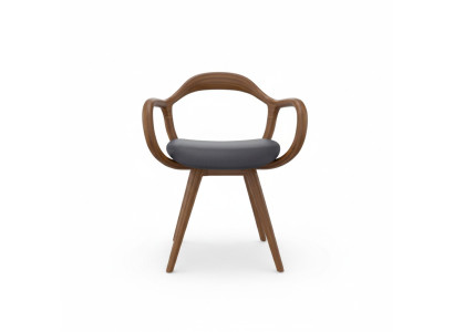 Chaises Salle à manger Salle à manger Fauteuil Chaise en bois avec accoudoir Mobilier de salle à manger