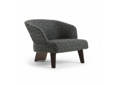 Fauteuil de luxe élégant modèle dans le style moderne Lounge pour Hôtels Club