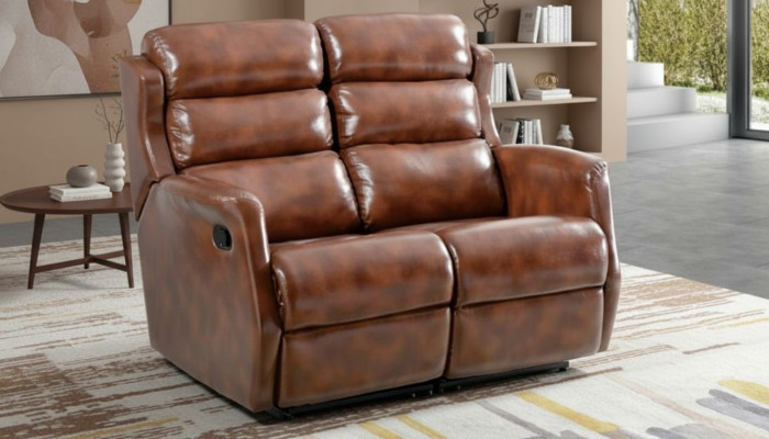Canapé 2 places Marron Canapés Style Luxe Salle de séjour Design moderne Cuir synthétique
