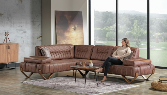 Canapé d'angle Salon paysage Couleur Marron Canapé en forme de L neuf Salon Canapé d'angle Luxe neuf