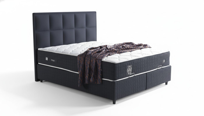 Lit double de designer en bois Lit de designer Meubles de chambre Lit Boxspring