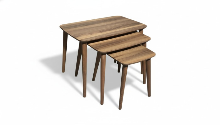 Tables basses rectangulaires Ensemble de 3 tables Salon Salle à manger Bois marron