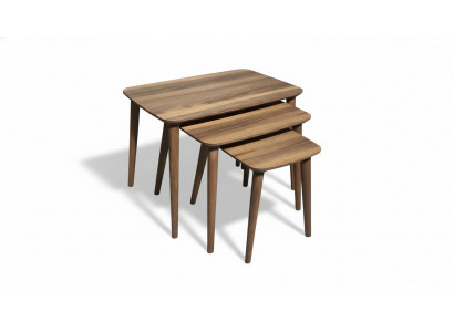 Tables basses rectangulaires Ensemble de 3 tables Salon Salle à manger Bois marron