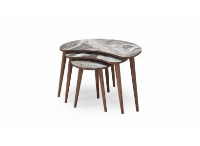 Tables basses en forme de rein 3 x Ensemble de tables d'appoint Salon Beige neuf