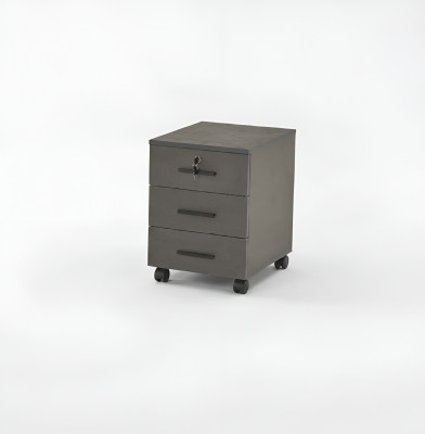 Armoire à dossiers gris uni pour bureau, design moderne avec tiroirs.