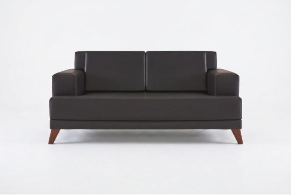 Canapé en cuir 2 places Sofa Noir Uni Design Moderne Canapé en cuir Bois