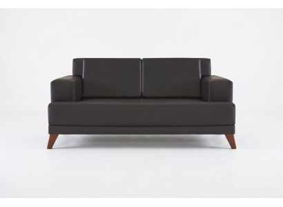 Canapé en cuir 2 places Sofa Noir Uni Design Moderne Canapé en cuir Bois