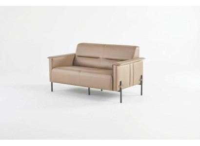Canapé beige 2 places canapé moderne en cuir fauteuil deux places cuir