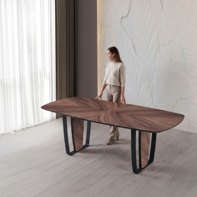 Table à manger de luxe table de cuisine table à manger en bois noir
