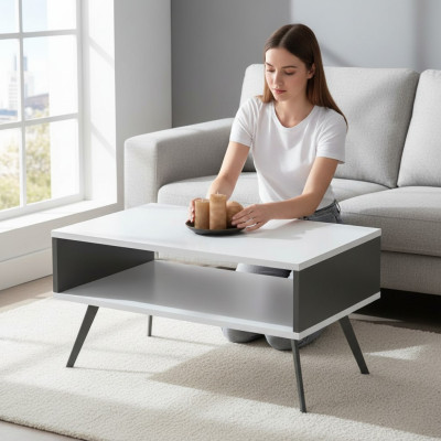 Table basse moderne en bois avec espace de rangement blanc