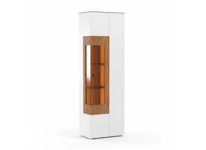 Vitrinenschrank Vitrine Schrankvitrine Glasdisplay Objektschrank