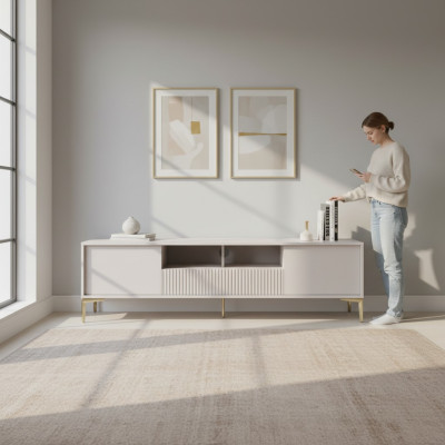 Étagère TV mobile moderne en acier inoxydable