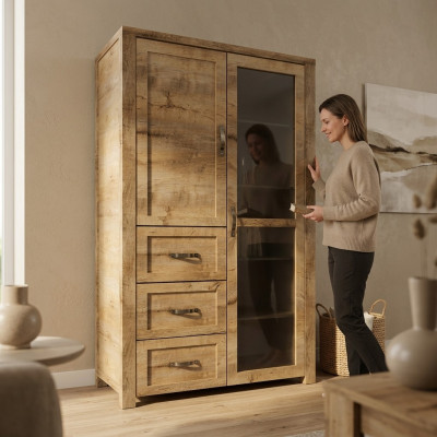 Vitrine moderne élégante en bois brun